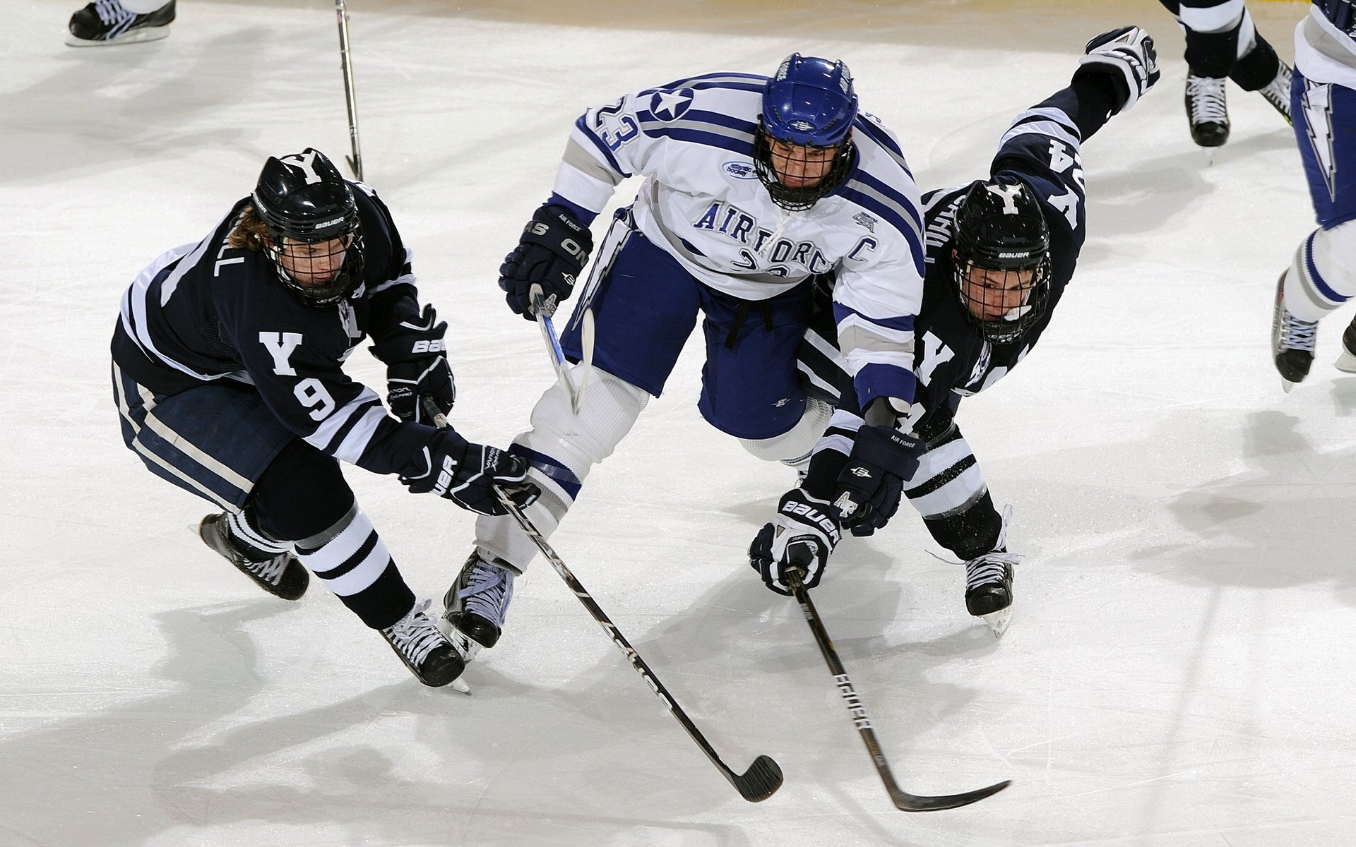全国羽毛球锦标赛圆满落幕,新锐选手表现抢眼